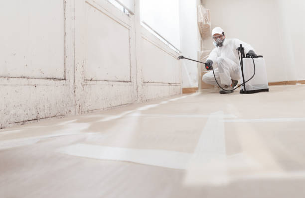 24/7 Emergency Commercial Mold Remediation experts in Rebersburg, PA